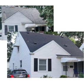 Before and After in Royal Oak