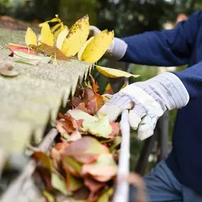 We offer gutter cleaning services. Roof leaks can be caused by clogged and backed up gutters.