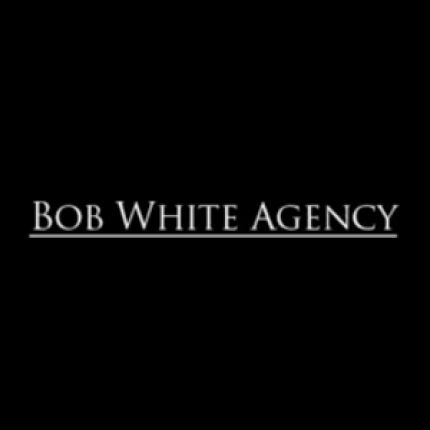 Logo fra Bob White Agency Real Estate