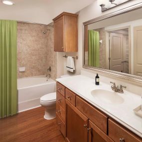 Bathroom with storage and soaking bathtub at Camden Amber Oaks