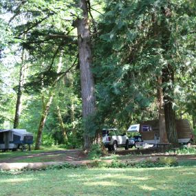 Bild von Friday Creek Campground