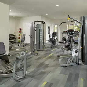 Fitness center with cardio and strength training equipment