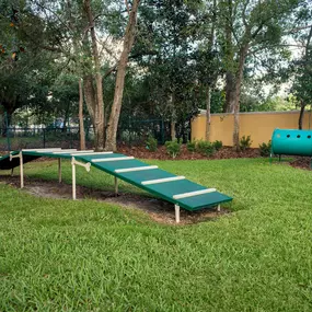 Private fenced dog park with agility equipment