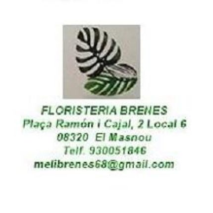 Logotipo de Floristeria Brenes
