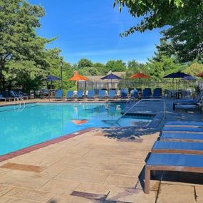 Huge Pool with Sun Deck