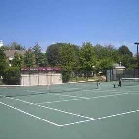 Full Basketball Court