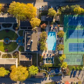 Aerial View Of The Community