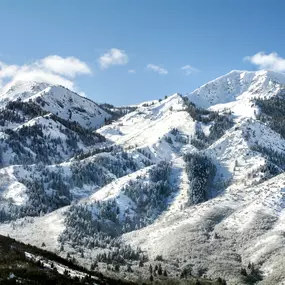 Goldener Hirsch - Deer Valley