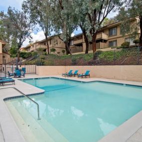 Sparkling Swimming Pool