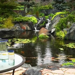 Bild von Charlotte Backyard Ponds