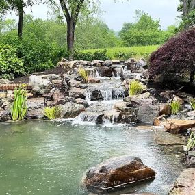 Bild von Charlotte Backyard Ponds