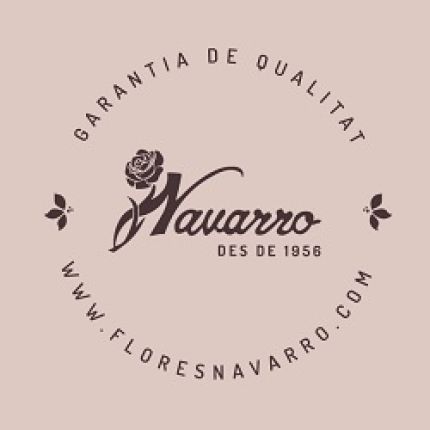 Logotipo de Flores Navarro