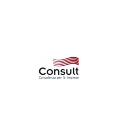 Logo de Consult Srl