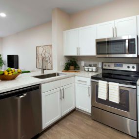Kitchen stainless steel appliances and quartz countertops