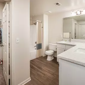 Bathroom with double vanity sinks and walk in closet