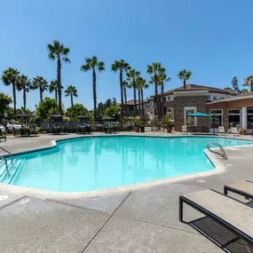 Swimming pool chairs