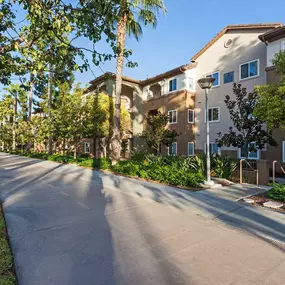 Landscaped grounds