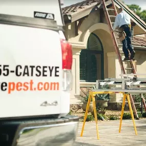 Bild von Catseye Pest Control - Cromwell, CT