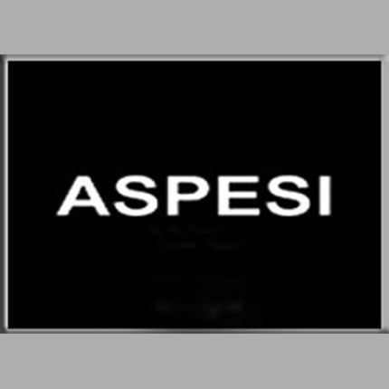 Logotyp från Aspesi Donna