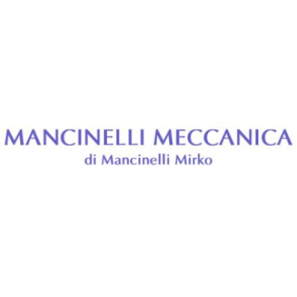 Logo von Mancinelli Meccanica