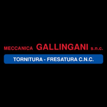 Logo fra Meccanica Gallingani