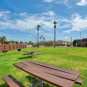 Bild von Ashton Place Apartments