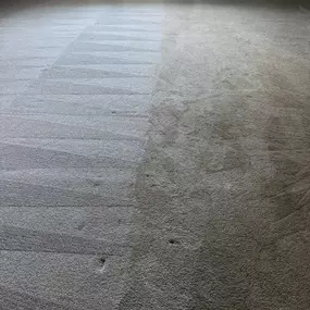 Keep your home cleaner and improve the air quality of your living space with expert carpet cleaning services in Southeast Michigan from Plymouth Carpet Services.