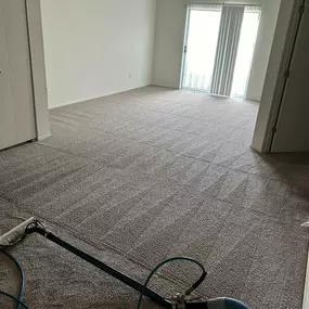 Keep your home cleaner and improve the air quality of your living space with expert carpet cleaning services in Southeast Michigan from Plymouth Carpet Services.