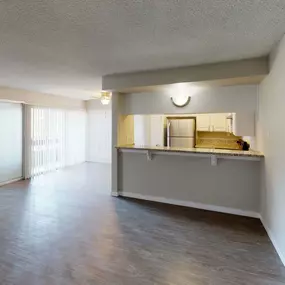 Open Space Living Room with Kitchen