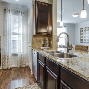 Modern Kitchen with Double Stainless Steel Sink