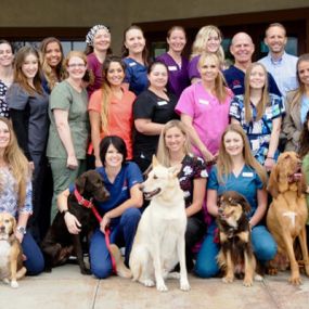 The caring and experienced team at VCA Timpanogos Animal Hospital!