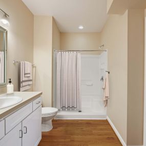 Neighborhood one bathroom with walk in shower wood look flooring and framed mirror