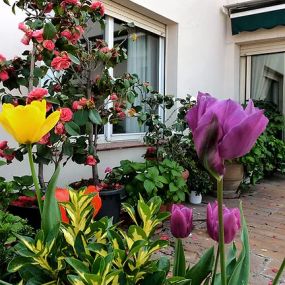 Arcadia-jardines-y-paisajes-madrid-terraza.jpg