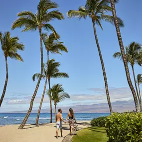 Two people walking beneath tall palm trees on a sandy beach.