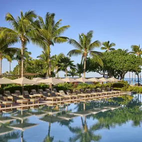 Large pool lined with palm trees and cushioned loungers.