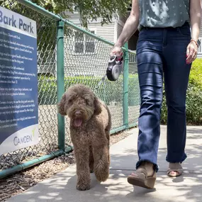 Camden Westwood Dog Park