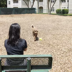 Camden Westwood apartments in Morrisville gated dog park