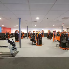 Basic-Fit Woerden Botnische Golf 24/7 - strength zone