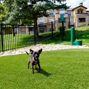 Dog park pet friendly community at Camden Denver West Apartments in Golden, CO