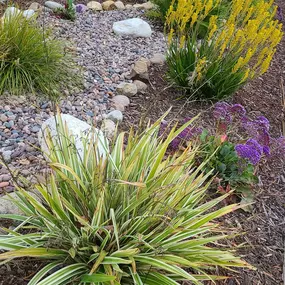 Bild von Mike's Inland & Coastal Landscaping