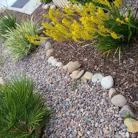 Bild von Mike's Inland & Coastal Landscaping