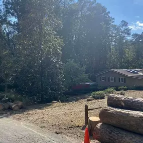 Bild von Georgia Tree Masters