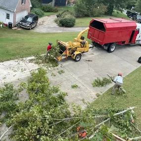 Bild von Georgia Tree Masters