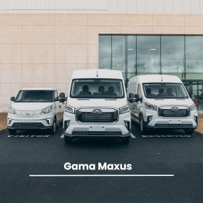 Bild von Maxus Quadis Asian