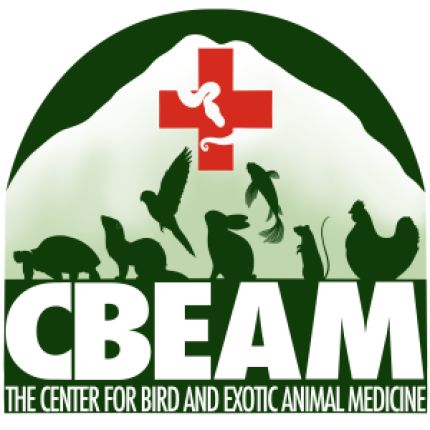 Logo de Center for Bird and Exotic Animal Medicine