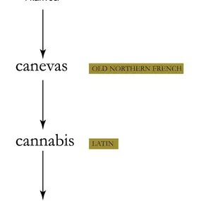 Etymology of Canvas-Canvas-Organics-Albuquerque