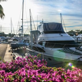 Bild von Loggerhead Marina - Hollywood