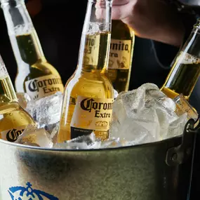 Bucket of Coronitas