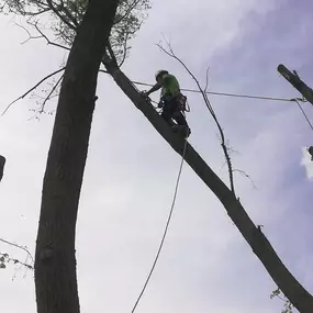 Trabajos_Verticales_Granada_Vertiextreme_16.jpeg