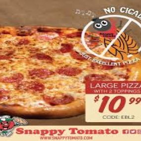Enjoy a Snappy Tomato Pizza – Lunch, Dinner or Evening Snack
Delivery, Pick-Up or Carry-Out
No Cicadas - Just Excellent Pizza